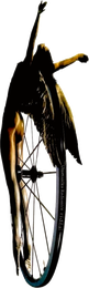 Ridžal logo